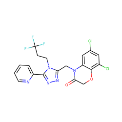 O=C1COc2c(Cl)cc(Cl)cc2N1Cc1nnc(-c2ccccn2)n1CCC(F)(F)F ZINC000071332005