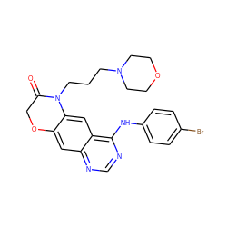 O=C1COc2cc3ncnc(Nc4ccc(Br)cc4)c3cc2N1CCCN1CCOCC1 ZINC000653717828