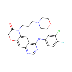 O=C1COc2cc3ncnc(Nc4ccc(F)c(Cl)c4)c3cc2N1CCCN1CCOCC1 ZINC000653725028