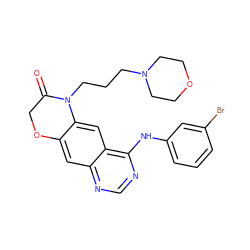 O=C1COc2cc3ncnc(Nc4cccc(Br)c4)c3cc2N1CCCN1CCOCC1 ZINC000653723659