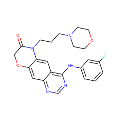 O=C1COc2cc3ncnc(Nc4cccc(F)c4)c3cc2N1CCCN1CCOCC1 ZINC000653730412