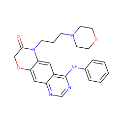 O=C1COc2cc3ncnc(Nc4ccccc4)c3cc2N1CCCN1CCOCC1 ZINC000653719618