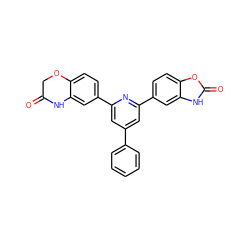 O=C1COc2ccc(-c3cc(-c4ccccc4)cc(-c4ccc5oc(=O)[nH]c5c4)n3)cc2N1 ZINC000019798821