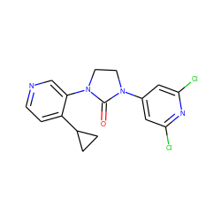 O=C1N(c2cc(Cl)nc(Cl)c2)CCN1c1cnccc1C1CC1 ZINC000143919244