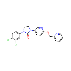 O=C1N(c2ccc(OCc3ccccn3)nc2)CCN1c1ccc(Cl)c(Cl)c1 ZINC000028528695