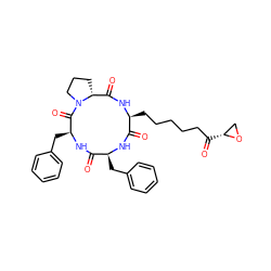 O=C1N[C@@H](Cc2ccccc2)C(=O)N2CCC[C@@H]2C(=O)N[C@@H](CCCCCC(=O)[C@@H]2CO2)C(=O)N[C@H]1Cc1ccccc1 ZINC000003925368