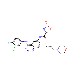 O=C1N[C@H](C(=O)Nc2cc3c(Nc4ccc(F)c(Cl)c4)ncnc3cc2OCCCN2CCOCC2)CO1 ZINC000653894990