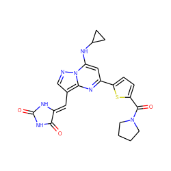 O=C1NC(=O)/C(=C/c2cnn3c(NC4CC4)cc(-c4ccc(C(=O)N5CCCC5)s4)nc23)N1 ZINC000144849904