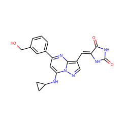 O=C1NC(=O)/C(=C/c2cnn3c(NC4CC4)cc(-c4cccc(CO)c4)nc23)N1 ZINC000117827448