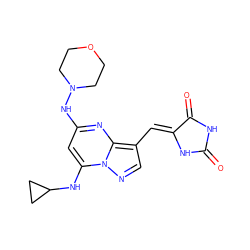 O=C1NC(=O)/C(=C/c2cnn3c(NC4CC4)cc(NN4CCOCC4)nc23)N1 ZINC000205013244