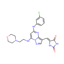 O=C1NC(=O)/C(=C/c2cnn3c(NCCN4CCOCC4)cc(Nc4cccc(Cl)c4)nc23)N1 ZINC000117823032