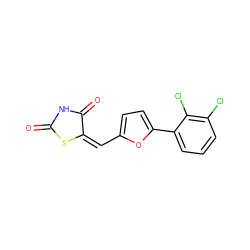 O=C1NC(=O)/C(=C\c2ccc(-c3cccc(Cl)c3Cl)o2)S1 ZINC000000975814