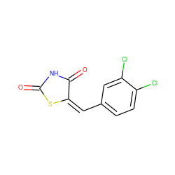 O=C1NC(=O)/C(=C\c2ccc(Cl)c(Cl)c2)S1 ZINC000000975836