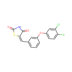 O=C1NC(=O)/C(=C\c2cccc(Oc3ccc(Cl)c(Cl)c3)c2)S1 ZINC000028703304