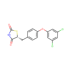 O=C1NC(=O)[C@@H](Cc2ccc(Oc3cc(Cl)cc(Cl)c3)cc2)S1 ZINC000045358467