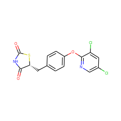 O=C1NC(=O)[C@@H](Cc2ccc(Oc3ncc(Cl)cc3Cl)cc2)S1 ZINC000045337484