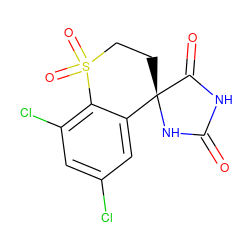 O=C1NC(=O)[C@]2(CCS(=O)(=O)c3c(Cl)cc(Cl)cc32)N1 ZINC000026492901