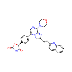 O=C1NC(=O)[C@H](c2ccc(-c3cnc(N4CCOCC4)c4nc(/C=C/c5ccc6ccccc6n5)cn34)cc2)O1 ZINC001772622850