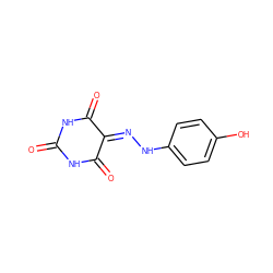 O=C1NC(=O)C(=NNc2ccc(O)cc2)C(=O)N1 ZINC000006863164