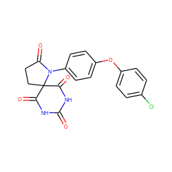 O=C1NC(=O)C2(CCC(=O)N2c2ccc(Oc3ccc(Cl)cc3)cc2)C(=O)N1 ZINC000028135981