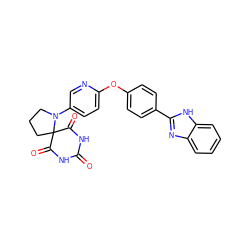 O=C1NC(=O)C2(CCCN2c2ccc(Oc3ccc(-c4nc5ccccc5[nH]4)cc3)nc2)C(=O)N1 ZINC000028960777