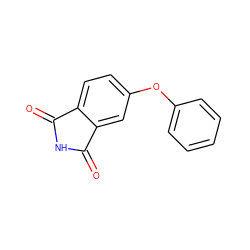 O=C1NC(=O)c2cc(Oc3ccccc3)ccc21 ZINC000000360347