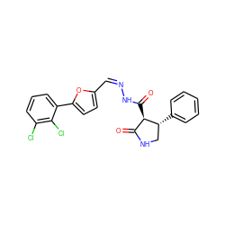 O=C1NC[C@@H](c2ccccc2)[C@@H]1C(=O)N/N=C\c1ccc(-c2cccc(Cl)c2Cl)o1 ZINC000008642663