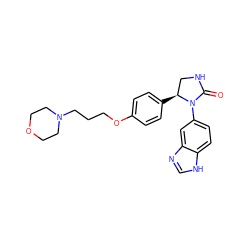 O=C1NC[C@H](c2ccc(OCCCN3CCOCC3)cc2)N1c1ccc2[nH]cnc2c1 ZINC000116195119