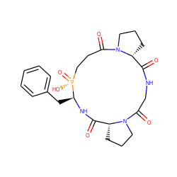 O=C1NCC(=O)N2CCC[C@@H]2C(=O)N[C@@H](Cc2ccccc2)[P@](=O)(O)CCC(=O)N2CCC[C@H]12 ZINC000095613247