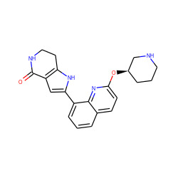 O=C1NCCc2[nH]c(-c3cccc4ccc(O[C@@H]5CCCNC5)nc34)cc21 ZINC000222446302