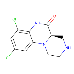 O=C1Nc2c(Cl)cc(Cl)cc2N2CCNC[C@H]12 ZINC000003966377