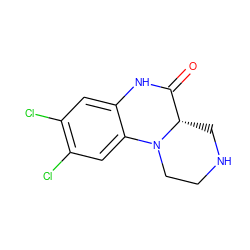 O=C1Nc2cc(Cl)c(Cl)cc2N2CCNC[C@@H]12 ZINC000000008760