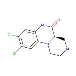 O=C1Nc2cc(Cl)c(Cl)cc2N2CCNC[C@H]12 ZINC000003966376