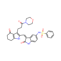 O=C1Nc2ccc(NS(=O)(=O)c3ccccc3)cc2/C1=C/c1[nH]c2c(c1CCC(=O)N1CCOCC1)C(=O)CCC2 ZINC000058582069