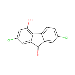 O=C1c2cc(Cl)ccc2-c2c(O)cc(Cl)cc21 ZINC000001609844