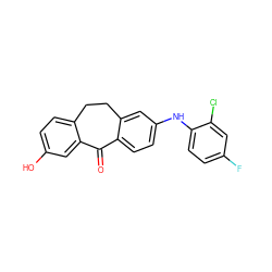 O=C1c2ccc(Nc3ccc(F)cc3Cl)cc2CCc2ccc(O)cc21 ZINC000095580510