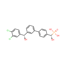 O=P(O)(O)[C@H](O)c1ccc(-c2cccc([C@H](O)c3ccc(Cl)c(Cl)c3)c2)cc1 ZINC000096284977