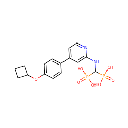 O=P(O)(O)C(Nc1cc(-c2ccc(OC3CCC3)cc2)ccn1)P(=O)(O)O ZINC000084653274