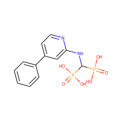 O=P(O)(O)C(Nc1cc(-c2ccccc2)ccn1)P(=O)(O)O ZINC000084655519