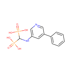 O=P(O)(O)C(Nc1cncc(-c2ccccc2)c1)P(=O)(O)O ZINC000084652827