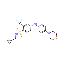 O=S(=O)(NCC1CC1)c1ccc(Nc2ccc(N3CCOCC3)cc2)cc1C(F)(F)F ZINC000144672966