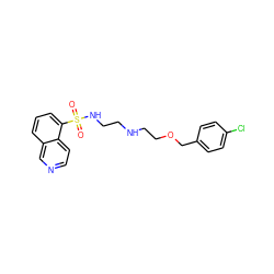 O=S(=O)(NCCNCCOCc1ccc(Cl)cc1)c1cccc2cnccc12 ZINC000003986659