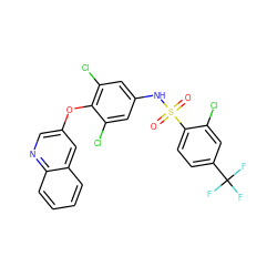 O=S(=O)(Nc1cc(Cl)c(Oc2cnc3ccccc3c2)c(Cl)c1)c1ccc(C(F)(F)F)cc1Cl ZINC000095591772