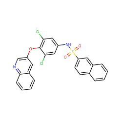 O=S(=O)(Nc1cc(Cl)c(Oc2cnc3ccccc3c2)c(Cl)c1)c1ccc2ccccc2c1 ZINC001772578510