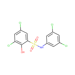 O=S(=O)(Nc1cc(Cl)cc(Cl)c1)c1cc(Cl)cc(Cl)c1O ZINC000028951299