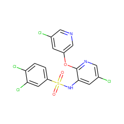 O=S(=O)(Nc1cc(Cl)cnc1Oc1cncc(Cl)c1)c1ccc(Cl)c(Cl)c1 ZINC000053294920