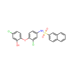 O=S(=O)(Nc1ccc(Oc2ccc(Cl)cc2O)c(Cl)c1)c1ccc2ccccc2c1 ZINC000028563013