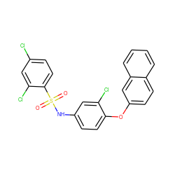 O=S(=O)(Nc1ccc(Oc2ccc3ccccc3c2)c(Cl)c1)c1ccc(Cl)cc1Cl ZINC000095587150