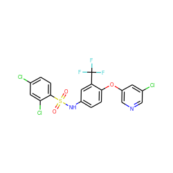 O=S(=O)(Nc1ccc(Oc2cncc(Cl)c2)c(C(F)(F)F)c1)c1ccc(Cl)cc1Cl ZINC000095589151