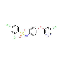 O=S(=O)(Nc1ccc(Oc2cncc(Cl)c2)cc1)c1ccc(Cl)cc1Cl ZINC000095586920